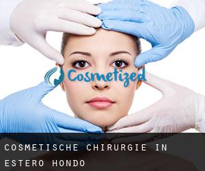Cosmetische Chirurgie in Estero Hondo