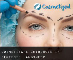 Cosmetische Chirurgie in Gemeente Landsmeer