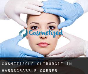 Cosmetische Chirurgie in Hardscrabble Corner
