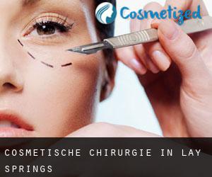 Cosmetische Chirurgie in Lay Springs