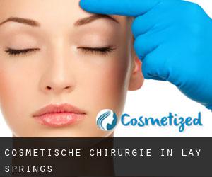 Cosmetische Chirurgie in Lay Springs