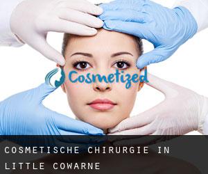 Cosmetische Chirurgie in Little Cowarne