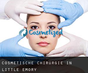 Cosmetische Chirurgie in Little Emory