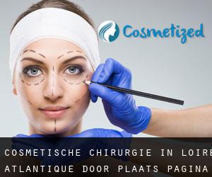 Cosmetische chirurgie in Loire-Atlantique door plaats - pagina 1