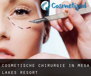 Cosmetische Chirurgie in Mesa Lakes Resort