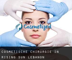 Cosmetische Chirurgie in Rising Sun-Lebanon
