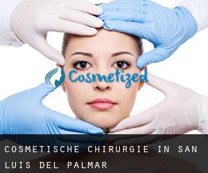 Cosmetische Chirurgie in San Luis del Palmar