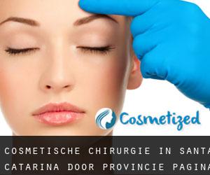 Cosmetische chirurgie in Santa Catarina door Provincie - pagina 1