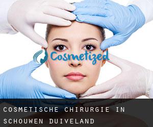 Cosmetische Chirurgie in Schouwen-Duiveland