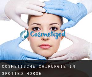 Cosmetische Chirurgie in Spotted Horse