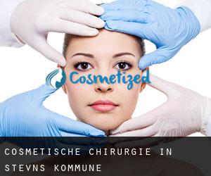 Cosmetische Chirurgie in Stevns Kommune