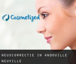 Neuscorrectie in Andouillé-Neuville