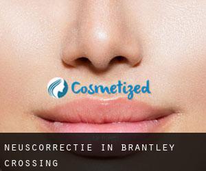 Neuscorrectie in Brantley Crossing