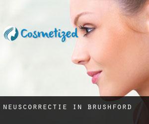 Neuscorrectie in Brushford