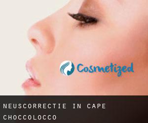 Neuscorrectie in Cape Choccolocco