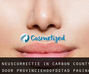 Neuscorrectie in Carbon County door provinciehoofdstad - pagina 1