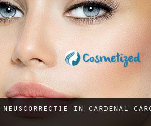 Neuscorrectie in Cardenal Caro