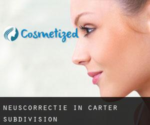 Neuscorrectie in Carter Subdivision