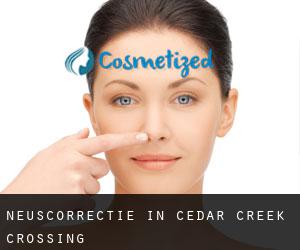 Neuscorrectie in Cedar Creek Crossing