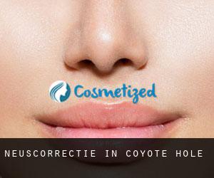 Neuscorrectie in Coyote Hole