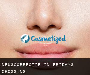 Neuscorrectie in Fridays Crossing