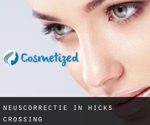 Neuscorrectie in Hicks Crossing