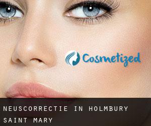 Neuscorrectie in Holmbury Saint Mary