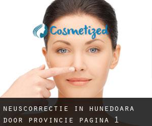 Neuscorrectie in Hunedoara door Provincie - pagina 1