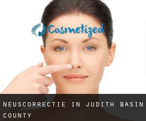 Neuscorrectie in Judith Basin County