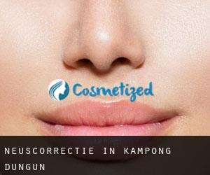 Neuscorrectie in Kampong Dungun