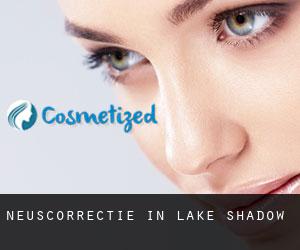 Neuscorrectie in Lake Shadow