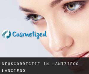 Neuscorrectie in Lantziego / Lanciego