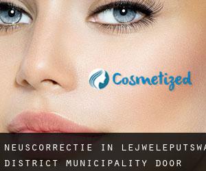 Neuscorrectie in Lejweleputswa District Municipality door gemeente - pagina 2