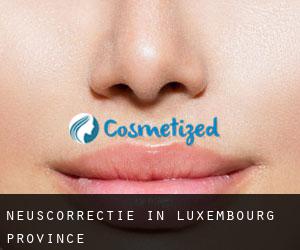 Neuscorrectie in Luxembourg Province