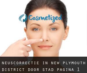 Neuscorrectie in New Plymouth District door stad - pagina 1