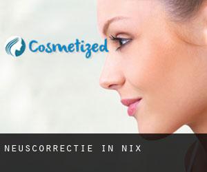 Neuscorrectie in Nix