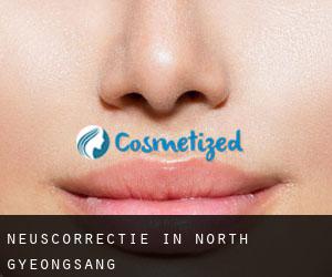 Neuscorrectie in North Gyeongsang