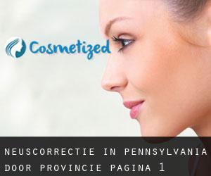 Neuscorrectie in Pennsylvania door Provincie - pagina 1