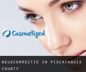 Neuscorrectie in Piscataquis County
