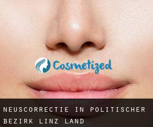 Neuscorrectie in Politischer Bezirk Linz Land