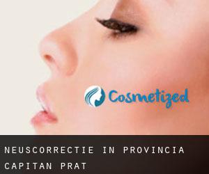Neuscorrectie in Provincia Capitán Prat