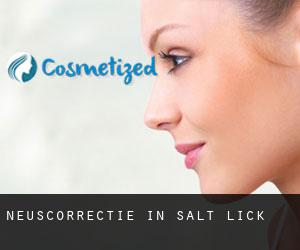 Neuscorrectie in Salt Lick