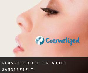 Neuscorrectie in South Sandisfield