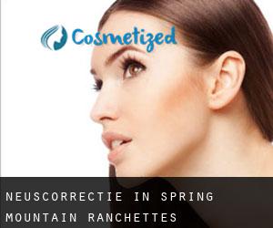 Neuscorrectie in Spring Mountain Ranchettes