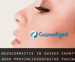 Neuscorrectie in Sussex County door provinciehoofdstad - pagina 3