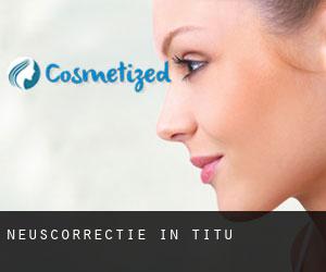 Neuscorrectie in Titu