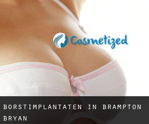 Borstimplantaten in Brampton Bryan