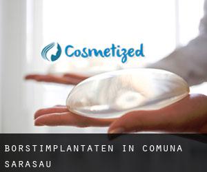 Borstimplantaten in Comuna Sărăsău