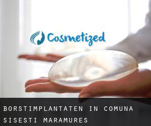 Borstimplantaten in Comuna Şişeşti (Maramureş)