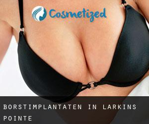 Borstimplantaten in Larkins Pointe